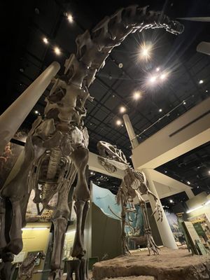Sam Noble Oklahoma Museum of Natural History by null