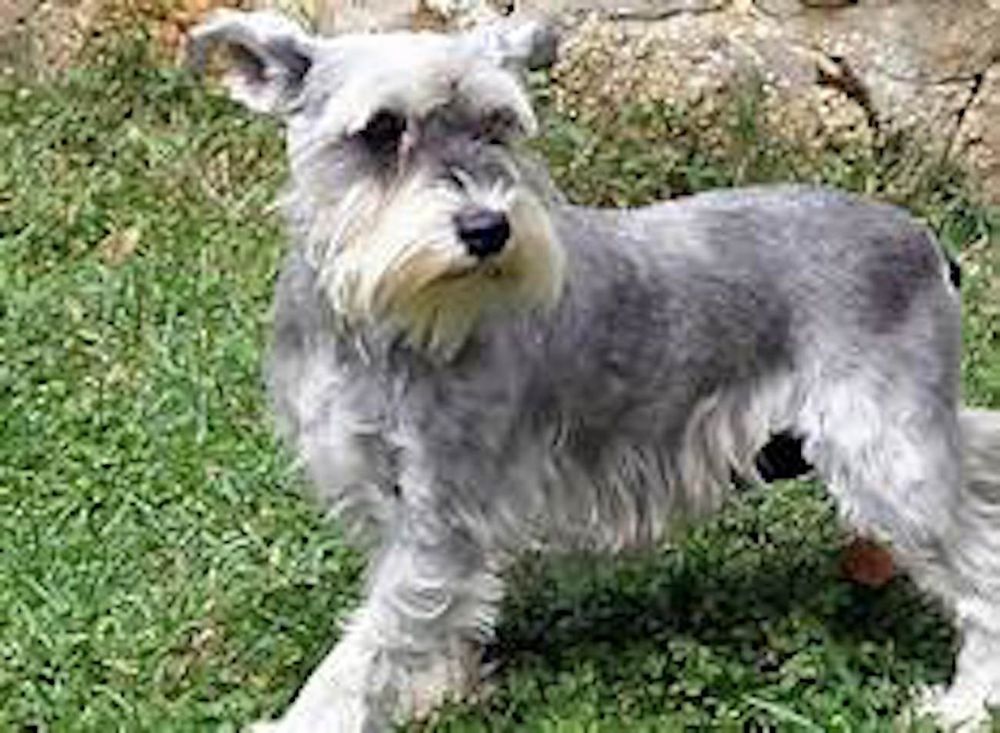 MIKE DEAN’S MOBILE AUTO REPAIR Updated August 2024 53 Reviews