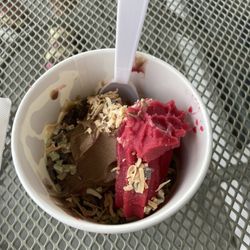 Blue Cow Frozen Yogurt - Chocolate and raspberry sorbet