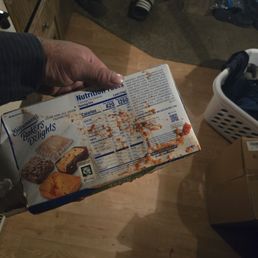 Ruined boxes