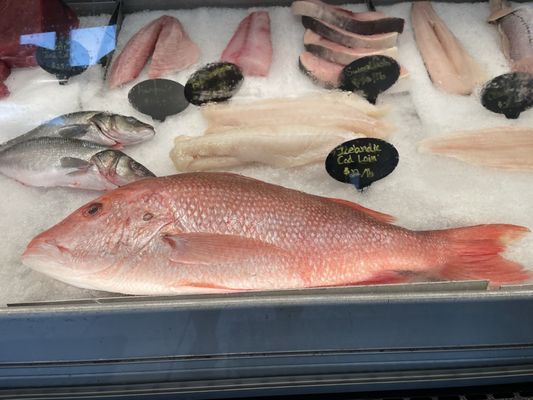 Browne Trading Market by null