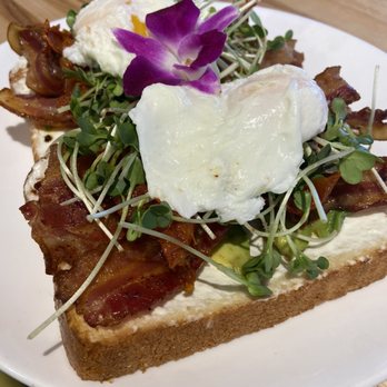 Toast 101 - Avocado Sunrise - Breakfast & Brunch Near Me - Tucson, Arizona Toast 101 - Avocado Sunrise - Breakfast & Brunch Near Me - Tucson, Arizona