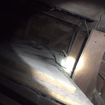 Bugpro Termite And Pest Control - They went under -- tough work! - Pest Control Near Me - Anaheim, California