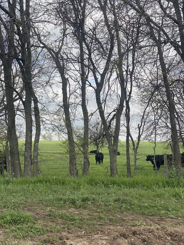 Mill-King Market & Creamery Logo