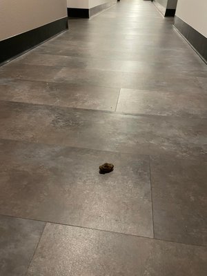 The Yards at Union Station by null