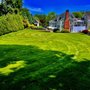 Photo of Greenform Landscape