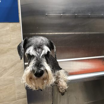 Chow Hound Pet Supplies - Pet Stores Near Me - Kalamazoo, Michigan Chow Hound Pet Supplies - Pet Stores Near Me - Kalamazoo, Michigan