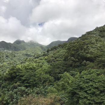 PR Paradise Tours - Tours Near Me