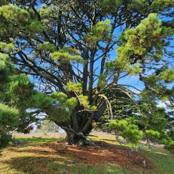 Tilden Regional Park - Parks Near Me - Berkeley, California