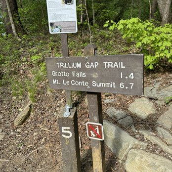 Grotto Falls - Trail Map Start - Hiking Near Me - Gatlinburg, Tennessee