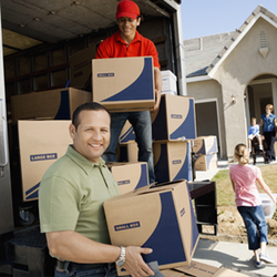 Big Buck Movers