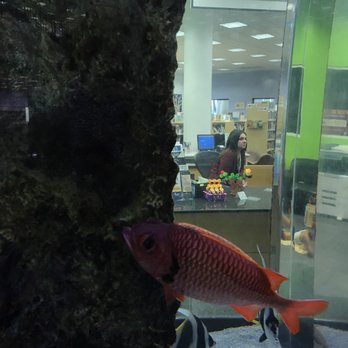 Selby Public Library - Staff and the fish - Libraries Near Me - Sarasota, Florida Selby Public Library - Staff and the fish - Libraries Near Me - Sarasota, Florida