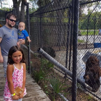 Jungle Adventures - Feeding the Bears - Tours Near Me - Christmas, Florida Jungle Adventures - Feeding the Bears - Tours Near Me - Christmas, Florida
