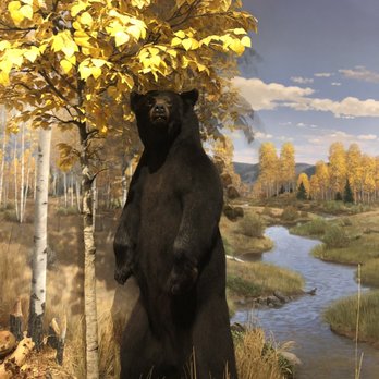 Rocky Mountain Elk Foundation - Museums Near Me - Missoula, Montana Rocky Mountain Elk Foundation - Museums Near Me - Missoula, Montana