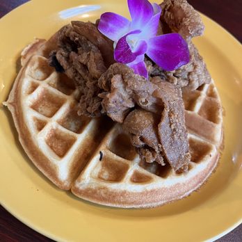 Guieb Cafe - Chicken & waffles with honey on the side (per requested instead of drizzle) - Breakfast & Brunch Near Me - Las Vegas, Nevada Guieb Cafe - Chicken & waffles with honey on the side (per requested instead of drizzle) - Breakfast & Brunch Near Me - Las Vegas, Nevada