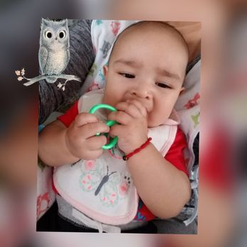 Owl Learning Center Child Care - Shows interest brushing his teeth. - Child Care & Day Care Near Me - West Covina, California Owl Learning Center Child Care - Shows interest brushing his teeth. - Child Care & Day Care Near Me - West Covina, California