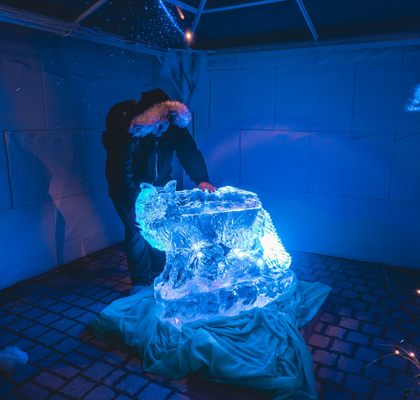 Aurora Winter Festival by null