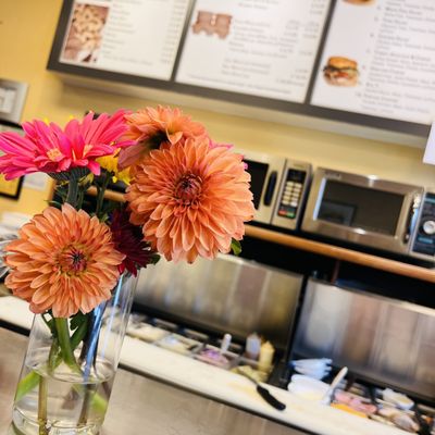 House of Bagels by null