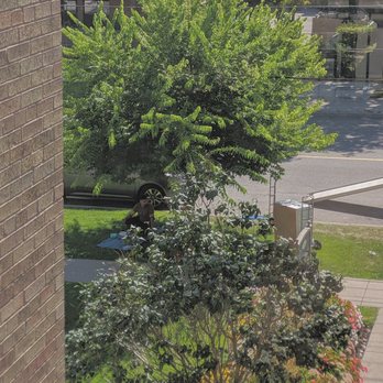 Let's Get Moving - Movers picnic - Movers Near Me - Toronto, Ontario