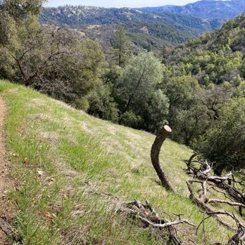 Flat Frog Trail - Grand vista that you will see near beginning of your hike. - - -Tom Brody - Hiking Near Me - Morgan Hill, California