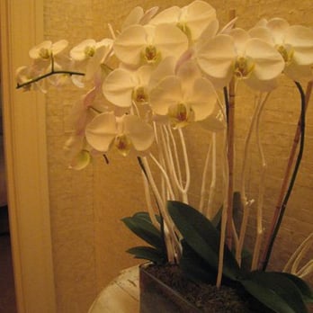 The Jefferson, Washington, D.C - Nice attention to detail. - Hotels Near Me - Washington, DC, District of Columbia The Jefferson, Washington, D.C - Nice attention to detail. - Hotels Near Me - Washington, DC, District of Columbia