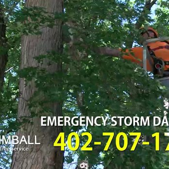 Kimball Tree Service - Call Craig - Kimball Tree Service for all your tree care & service needs www.kimballtreeservices.com - Tree Services Near Me - Bellevue, Nebraska Kimball Tree Service - Call Craig - Kimball Tree Service for all your tree care & service needs www.kimballtreeservices.com - Tree Services Near Me - Bellevue, Nebraska