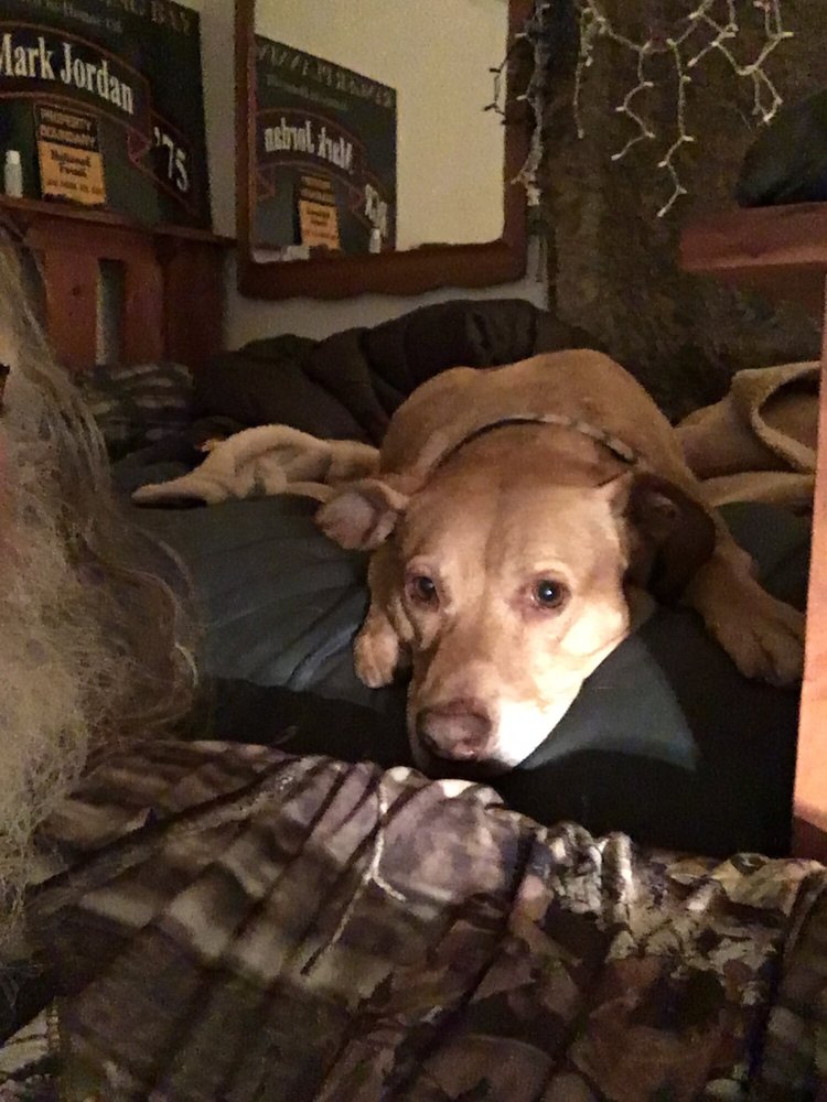 RED BARN VETERINARY HOSPITAL 22 Reviews 14 Seven Mile Hill Rd