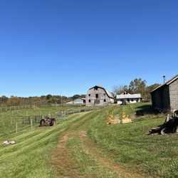 Fort Bacon Farm