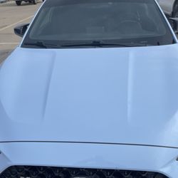 Dark Horse Window Tinting
