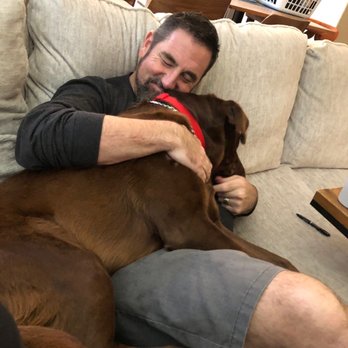 Ridley K9 Academy - Pet Training Near Me