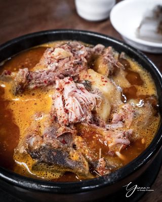 Finch JungSooNae by null