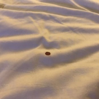 Rodeway Inn Fallbrook Downtown - Blood stained sheets - Hotels Near Me - Fallbrook, California Rodeway Inn Fallbrook Downtown - Blood stained sheets - Hotels Near Me - Fallbrook, California