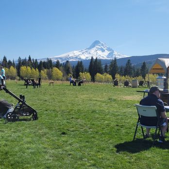 Grateful Vineyard - Wine Tasting Room Near Me - Mount Hood, Oregon