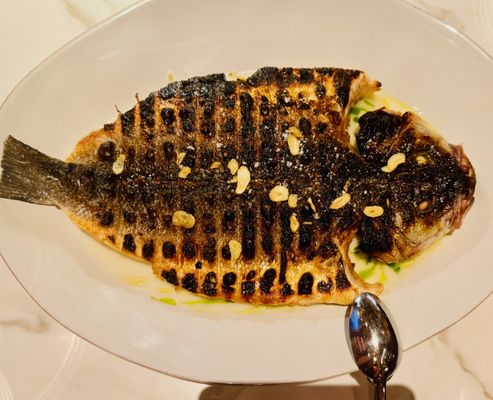 Bazaar Mar by José Andrés by null