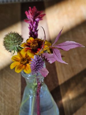 bloom Restaurant & Wine Bar by null