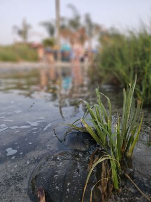 Macky's Bayside Bar & Grill by null