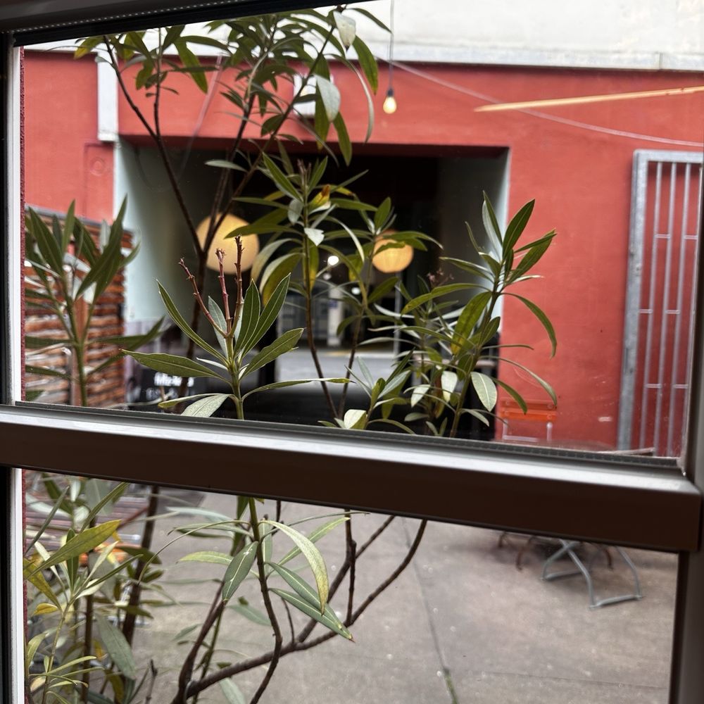 Wunschlos glücklich - Breakfast & Brunch Near Me - Würzburg, BY