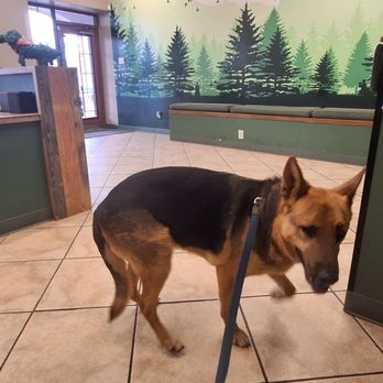 ABC Vaccination Clinic - Waiting outside Room 2 - Veterinarians Near Me - Tucson, Arizona ABC Vaccination Clinic - Waiting outside Room 2 - Veterinarians Near Me - Tucson, Arizona
