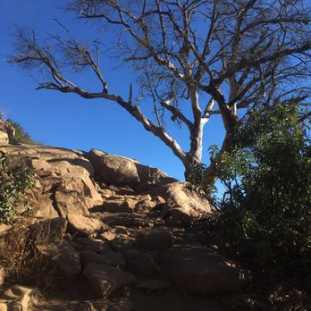 Potato Chip Rock - Once you get to the dead tree you have about 1.5 miles to go - Hiking Near Me - Poway, California