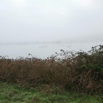 Spencer Island Regional Park - Foggy but you can slowly make out the rowers - Parks Near Me - Everett, Washington Spencer Island Regional Park - Foggy but you can slowly make out the rowers - Parks Near Me - Everett, Washington