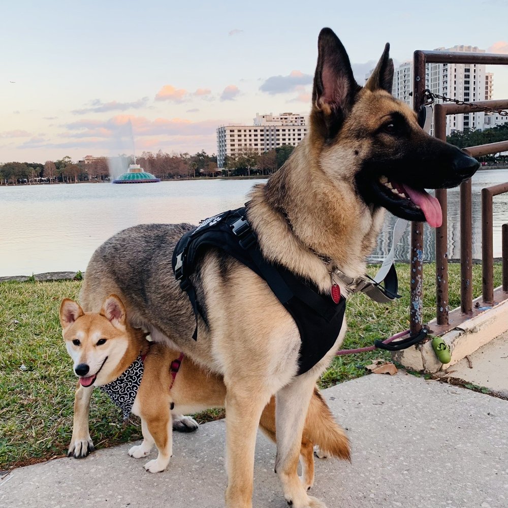 Zeus and Tori Zeus and Tori