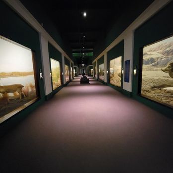 Field Museum - Museums Near Me - Chicago, Illinois