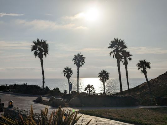 Fletcher Cove Beach Park by null