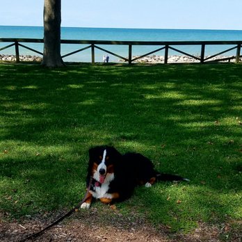 Man's Best Friend Dog Training - Pet Training Near Me - Madison, Ohio