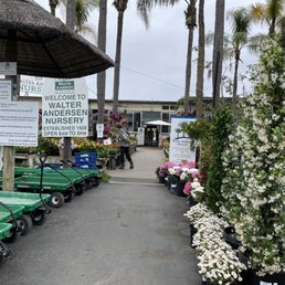 Exterior photo of Walter Andersen Nursery - San Diego, California Exterior photo of Walter Andersen Nursery - San Diego, California