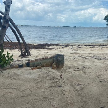 Boyd's Key West Campground - Campgrounds Near Me - Key West, Florida Boyd's Key West Campground - Campgrounds Near Me - Key West, Florida