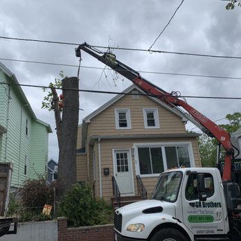 GN Brothers Tree Service - Tree Services Near Me GN Brothers Tree Service - Tree Services Near Me