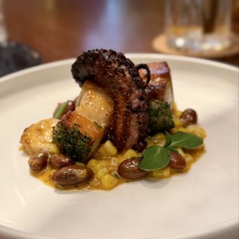 Lilac - Pork belly and octopus - Mediterranean Near Me - Tampa, Florida Lilac - Pork belly and octopus - Mediterranean Near Me - Tampa, Florida