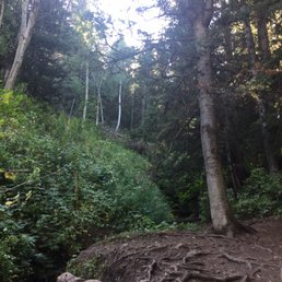 Green and easy to follow trail
