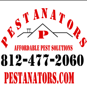 Pestanators - Pest Control Near Me Pestanators - Pest Control Near Me